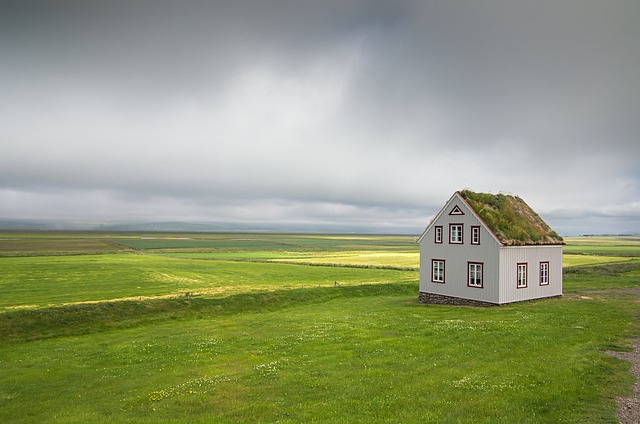 Deur voor je tuinhuis: tips voor de juiste keuze en installatie